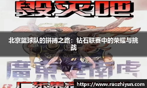 db电竞平台