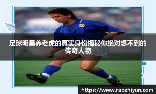 db电竞官网入口